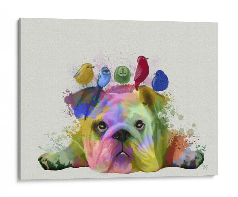 Bulldog Y Pájaros Ingleses, Splash Del Arco Iris - Fab Funky | Cuadro decorativo de Canvas Lab