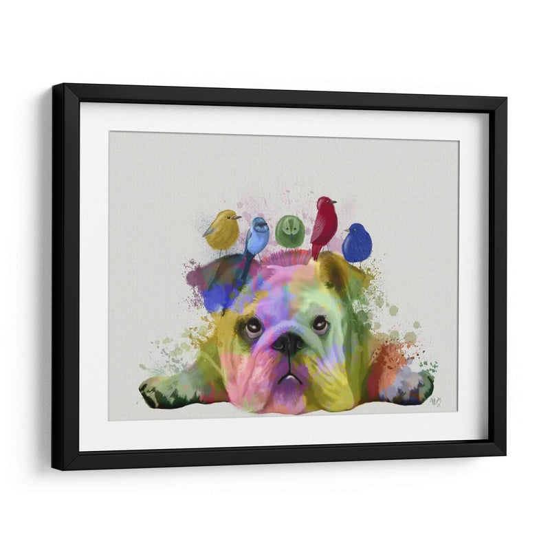 Bulldog Y Pájaros Ingleses, Splash Del Arco Iris - Fab Funky | Cuadro decorativo de Canvas Lab