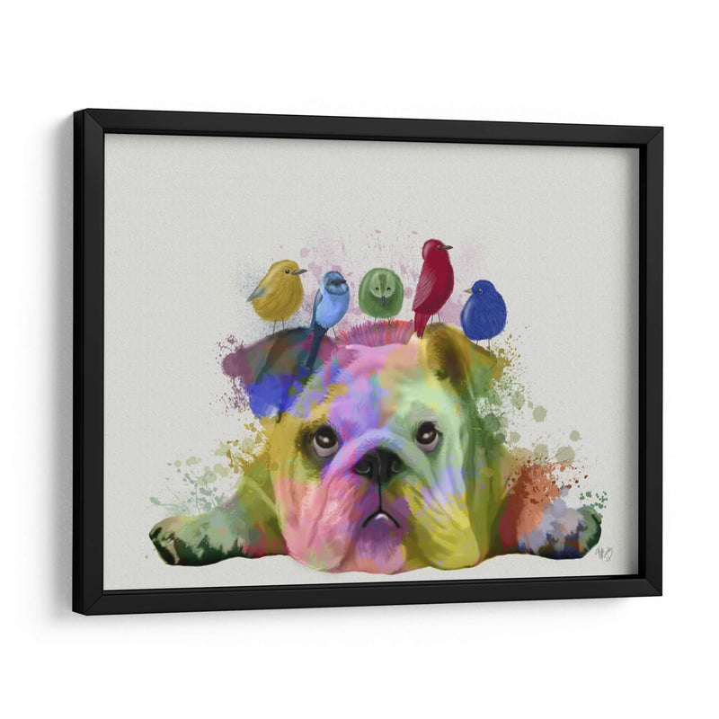 Bulldog Y Pájaros Ingleses, Splash Del Arco Iris - Fab Funky | Cuadro decorativo de Canvas Lab