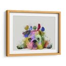 Bulldog Y Pájaros Ingleses, Splash Del Arco Iris - Fab Funky | Cuadro decorativo de Canvas Lab