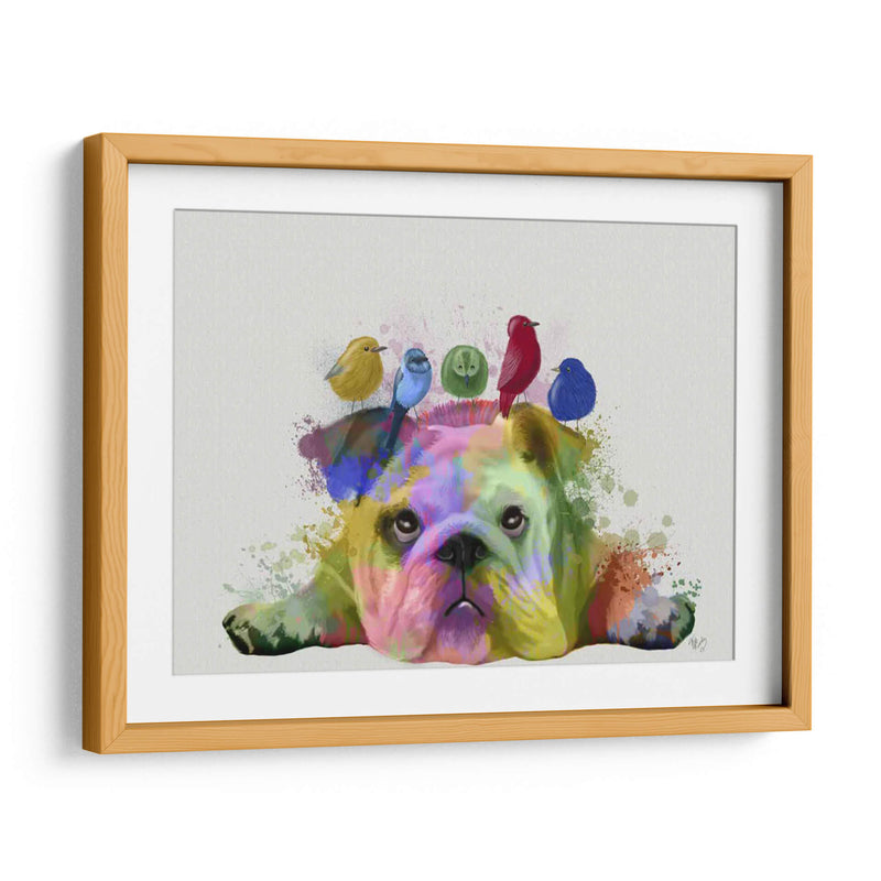 Bulldog Y Pájaros Ingleses, Splash Del Arco Iris - Fab Funky | Cuadro decorativo de Canvas Lab