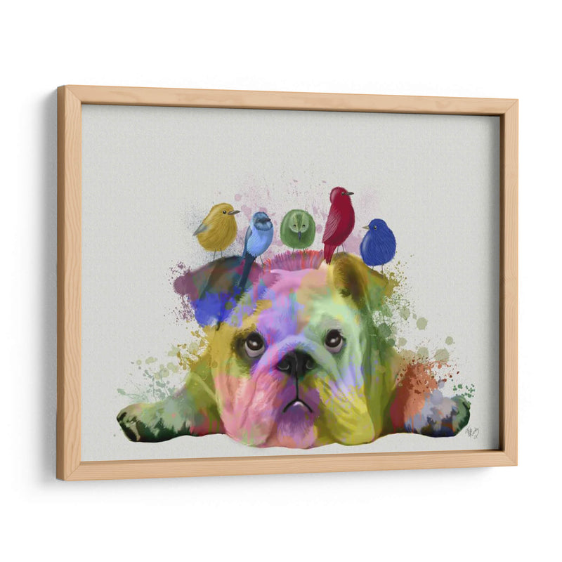 Bulldog Y Pájaros Ingleses, Splash Del Arco Iris - Fab Funky | Cuadro decorativo de Canvas Lab