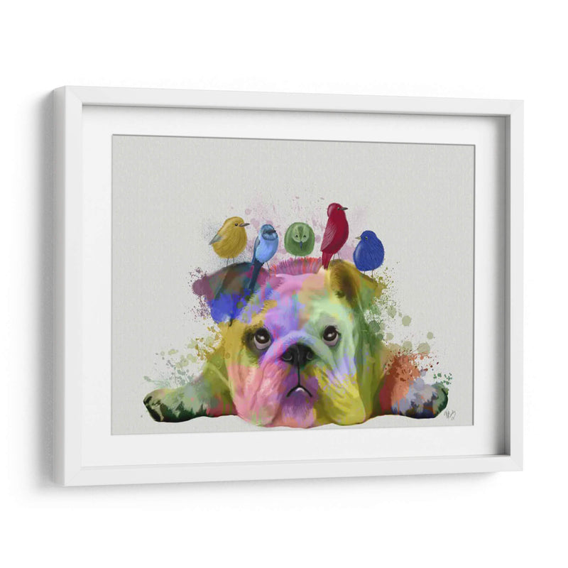 Bulldog Y Pájaros Ingleses, Splash Del Arco Iris - Fab Funky | Cuadro decorativo de Canvas Lab