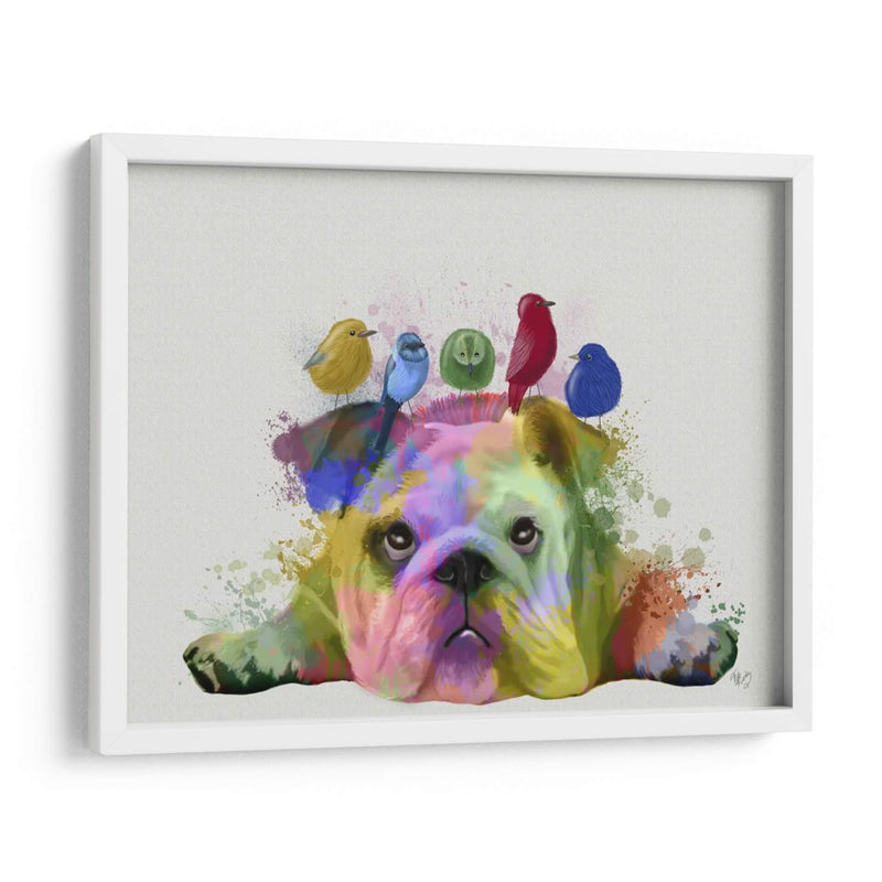 Bulldog Y Pájaros Ingleses, Splash Del Arco Iris - Fab Funky | Cuadro decorativo de Canvas Lab