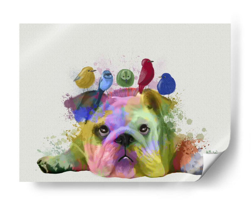 Bulldog Y Pájaros Ingleses, Splash Del Arco Iris - Fab Funky | Cuadro decorativo de Canvas Lab