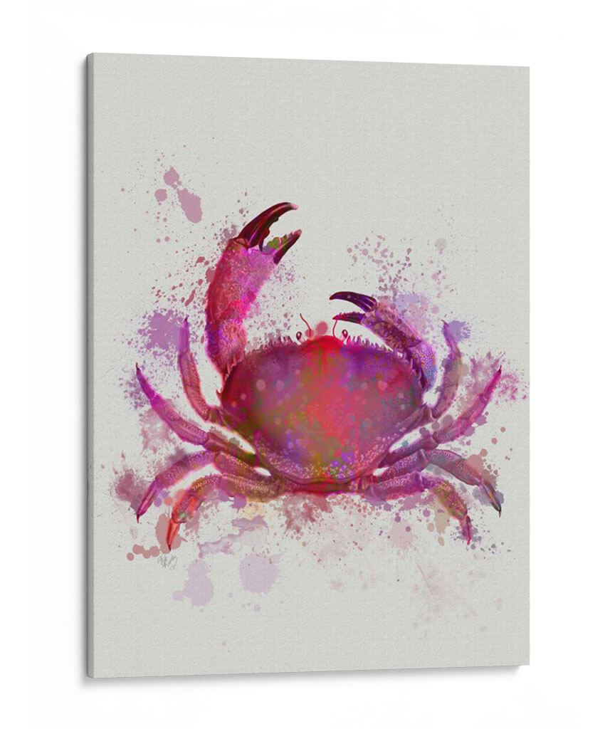 Cangrejo 1 Salpicaduras De Arco Iris Rosa - Fab Funky | Cuadro decorativo de Canvas Lab