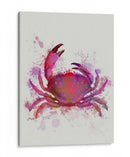 Cangrejo 1 Salpicaduras De Arco Iris Rosa - Fab Funky | Cuadro decorativo de Canvas Lab
