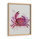 Cangrejo 1 Salpicaduras De Arco Iris Rosa - Fab Funky | Cuadro decorativo de Canvas Lab