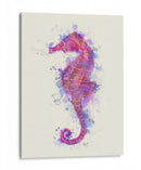 Caballo De Mar Rainbow Splash Pink Y Purple - Fab Funky | Cuadro decorativo de Canvas Lab