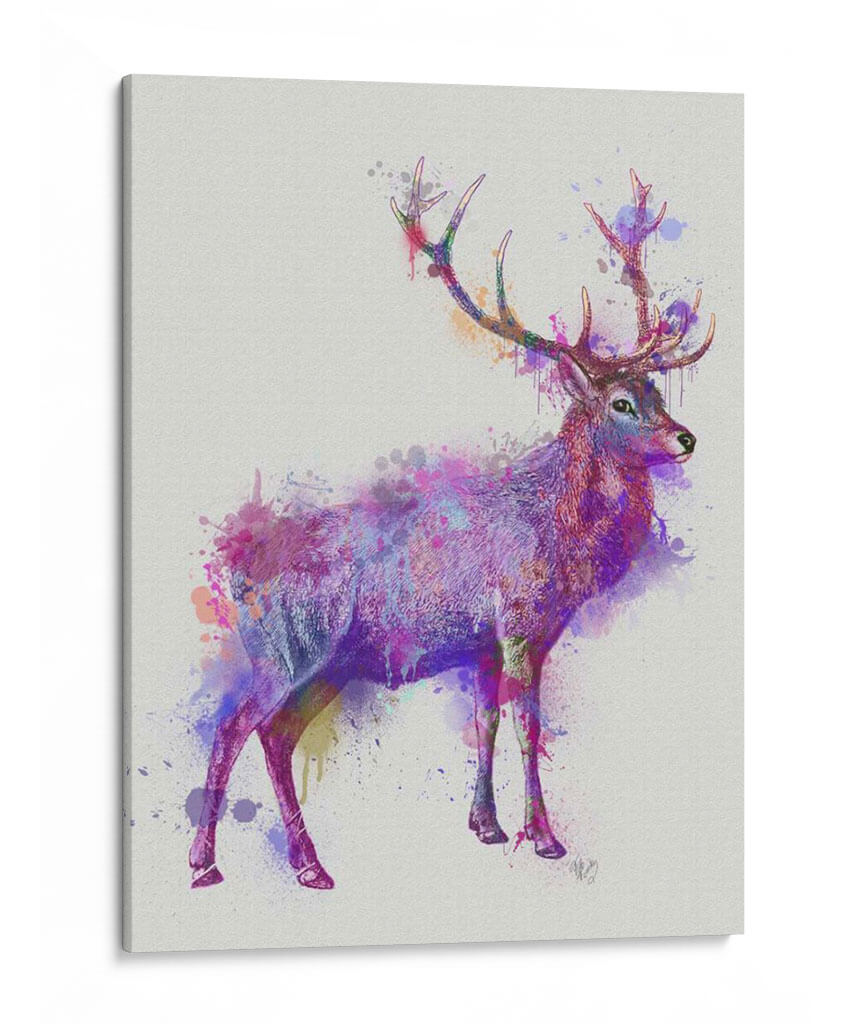 Deer 1 Rainbow Splash Pink Pink - Fab Funky | Cuadro decorativo de Canvas Lab
