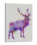 Deer 1 Rainbow Splash Pink Pink - Fab Funky | Cuadro decorativo de Canvas Lab
