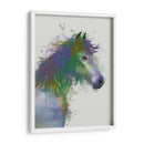 Retrato De Caballo 1 Splash Del Arco Iris - Fab Funky | Cuadro decorativo de Canvas Lab