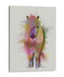 Pony 1 Splash Completo Del Arco Iris - Fab Funky | Cuadro decorativo de Canvas Lab