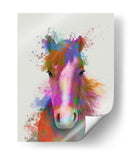 Retrato De Caballo 2 Splash Del Arco Iris - Fab Funky | Cuadro decorativo de Canvas Lab