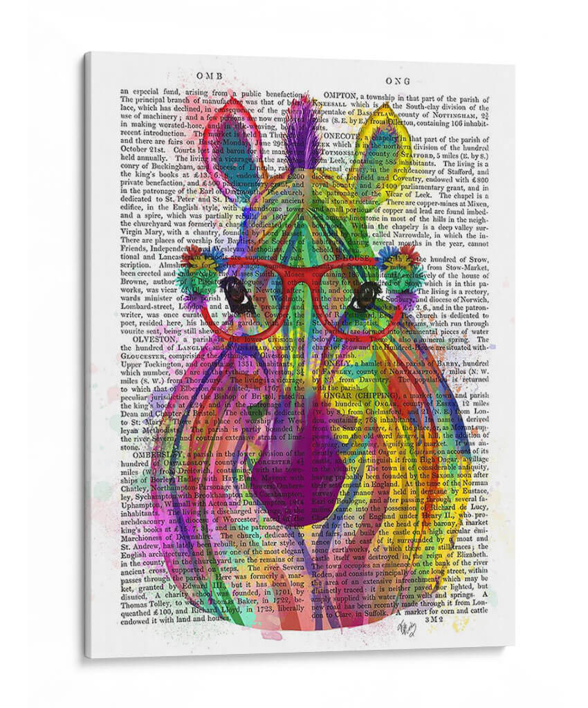 Splash De Cebra Arco Iris 1 - Fab Funky | Cuadro decorativo de Canvas Lab