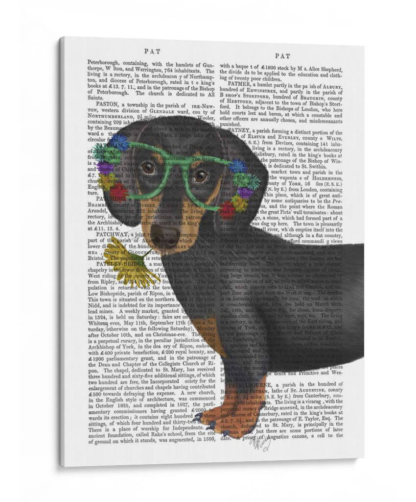 Gafas De Flores Dachshund - Fab Funky | Cuadro decorativo de Canvas Lab