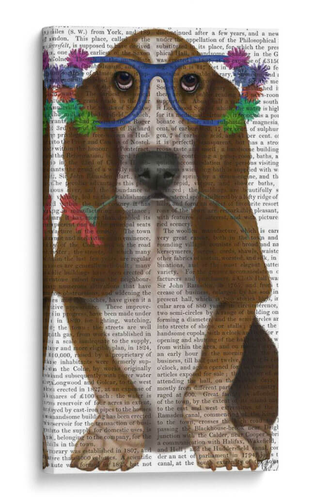 Gafas De Flores De Sabueso De Basset II - Fab Funky | Cuadro decorativo de Canvas Lab
