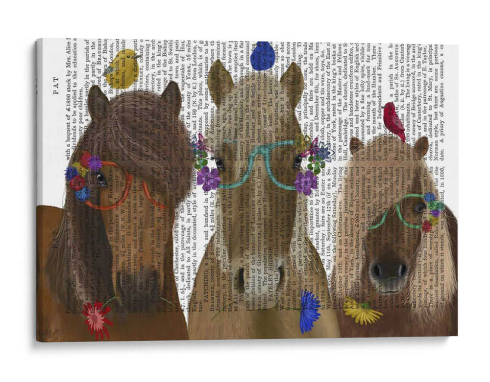Trío De Caballos Con Gafas De Flores Periódico - Fab Funky | Cuadro decorativo de Canvas Lab