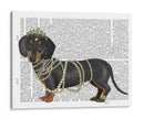 Dachshund Y Perlas - Fab Funky | Cuadro decorativo de Canvas Lab