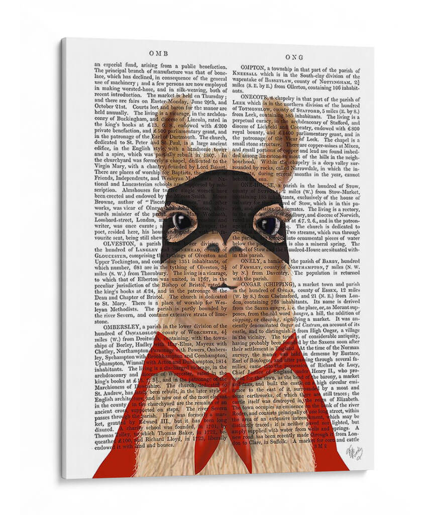 Super Llama - Fab Funky | Cuadro decorativo de Canvas Lab