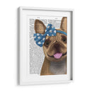 Bulldog Francés Y Arco Azul - Fab Funky | Cuadro decorativo de Canvas Lab