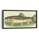 River Trout Iii | Cuadro decorativo de Canvas Lab