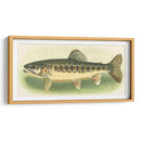 River Trout Iii | Cuadro decorativo de Canvas Lab