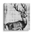 Territorio Del Noroeste I - Vision Studio | Cuadro decorativo de Canvas Lab