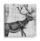 Territorio Del Noroeste Iii - Vision Studio | Cuadro decorativo de Canvas Lab