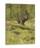 Oso Negro - Oliver Kemp | Cuadro decorativo de Canvas Lab