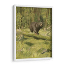 Oso Negro - Oliver Kemp | Cuadro decorativo de Canvas Lab