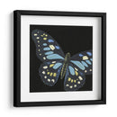 Pequeñas Mariposas Dramáticas Ii - Vision Studio | Cuadro decorativo de Canvas Lab