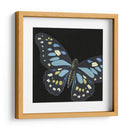 Pequeñas Mariposas Dramáticas Ii - Vision Studio | Cuadro decorativo de Canvas Lab