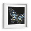 Pequeñas Mariposas Dramáticas Ii - Vision Studio | Cuadro decorativo de Canvas Lab
