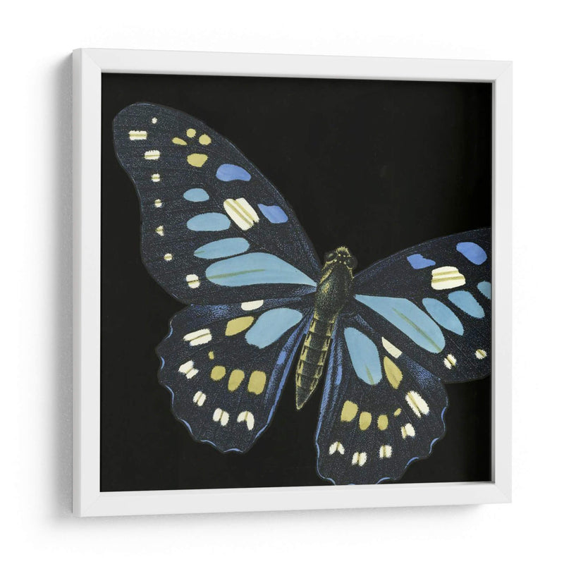 Pequeñas Mariposas Dramáticas Ii - Vision Studio | Cuadro decorativo de Canvas Lab