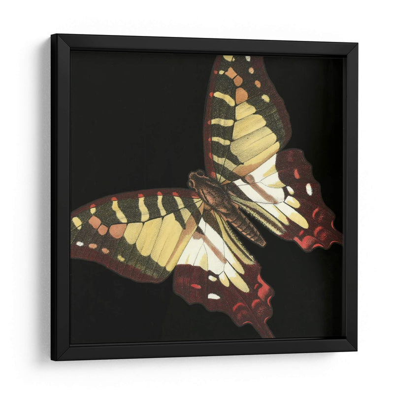 Pequeñas Mariposas Dramáticas Iii - Vision Studio | Cuadro decorativo de Canvas Lab