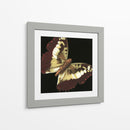 Pequeñas Mariposas Dramáticas Iv - Vision Studio | Cuadro decorativo de Canvas Lab