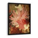 Anemona De Mar Gráfico I - Vision Studio | Cuadro decorativo de Canvas Lab