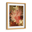 Anemona De Mar Gráfico I - Vision Studio | Cuadro decorativo de Canvas Lab