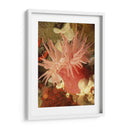 Anemona De Mar Gráfico I - Vision Studio | Cuadro decorativo de Canvas Lab