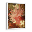 Anemona De Mar Gráfico I - Vision Studio | Cuadro decorativo de Canvas Lab