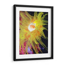 Anemona Ii Del Mar Gráfico - Vision Studio | Cuadro decorativo de Canvas Lab