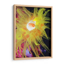 Anemona Ii Del Mar Gráfico - Vision Studio | Cuadro decorativo de Canvas Lab