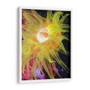 Anemona Ii Del Mar Gráfico - Vision Studio | Cuadro decorativo de Canvas Lab