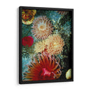Mare Gráfico Anémona Iii - Vision Studio | Cuadro decorativo de Canvas Lab