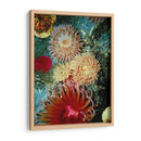 Mare Gráfico Anémona Iii - Vision Studio | Cuadro decorativo de Canvas Lab