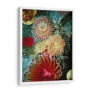 Mare Gráfico Anémona Iii - Vision Studio | Cuadro decorativo de Canvas Lab