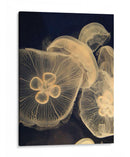 Medusas Gráficas I - Vision Studio | Cuadro decorativo de Canvas Lab