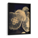 Medusas Gráficas I - Vision Studio | Cuadro decorativo de Canvas Lab