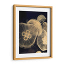 Medusas Gráficas I - Vision Studio | Cuadro decorativo de Canvas Lab